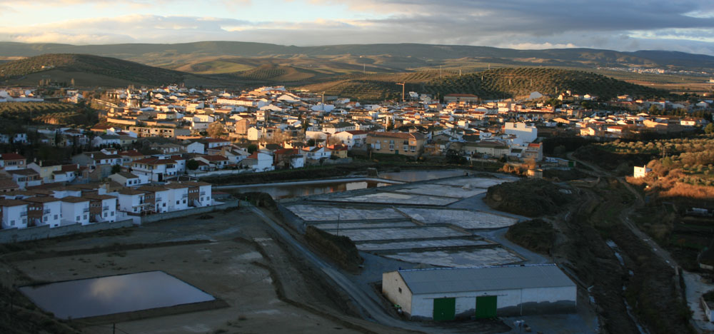 lamalaha (1).jpg