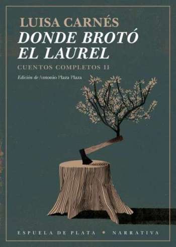 donde-broto-el-laurel.jpg