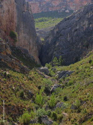 002_entornoguadalope_4499.jpg