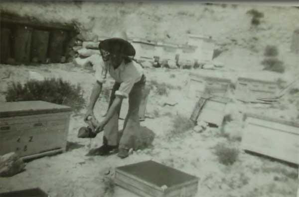 Avelino con trabajos de captura en sus primeros tiempos como apicultor.jpg