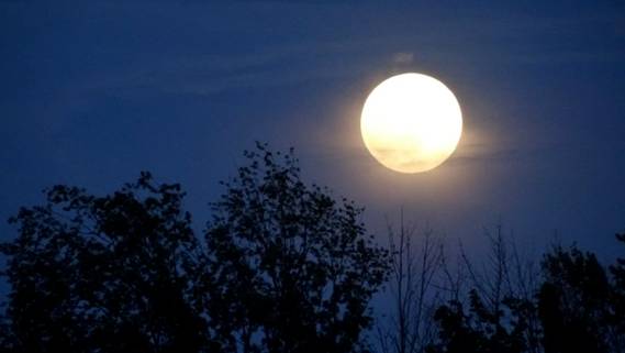 14408695072_b109e5f8d3_b_full-moon.jpg