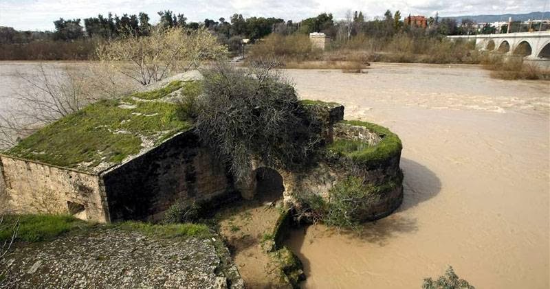 molinos(2).jpg