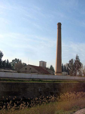 77110_res_720.jpg