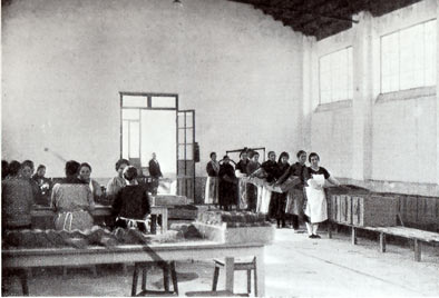 Taller empaque.jpg