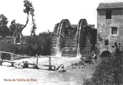 NoriaVelilla.jpg