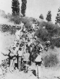 alzados14.jpg