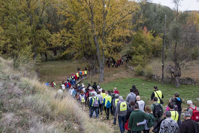 008-VII Fiesta del Chopo Cabecero-Aliaga 2015[4].jpg