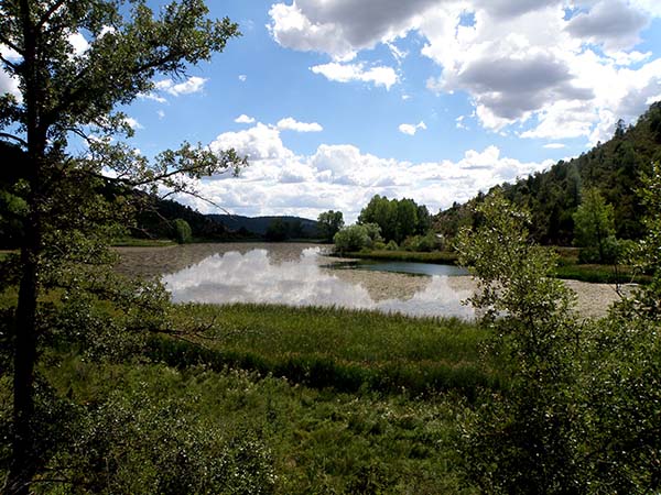 diasdebosque (2).JPG