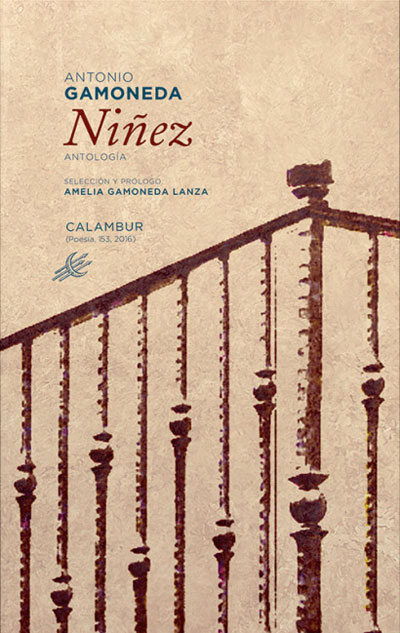 1-ninez_cubierta.jpg