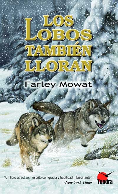 Los_lobos_tambi__56b0d50618.jpg