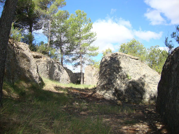 Zona-Escuela-maqui-2.jpg