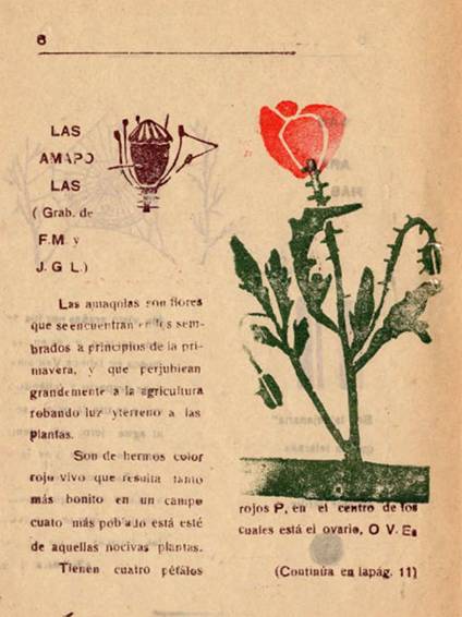 20-Text-lliure-i-gravat.jpg