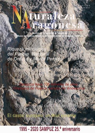 copia-de-na36-portada-1.jpg