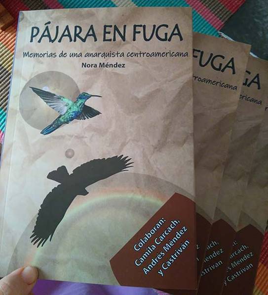 Pajara en fuga 01.jpg