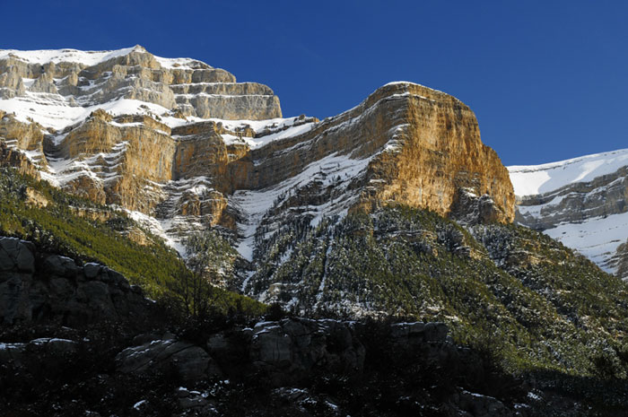 _DSC8797.jpg