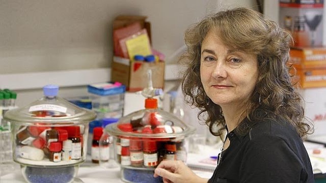 La catedrtica de Qumica Inorgnica de la Universidad de Sevilla Adela Muoz Paz, en el Centro de Investigaciones Cientficas de la Isla de la Cartuja de Sevilla.jpg
