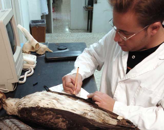 image001.jpg