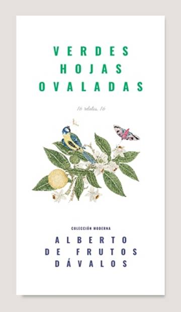 hojas500ok.jpg