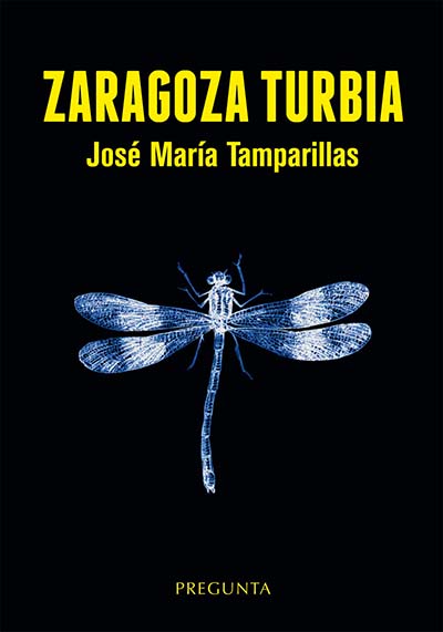 Zaragoza turbia - José María Tamparillas.jpg