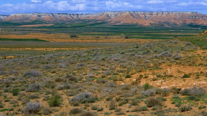 _fotoseobirdlife_01e771b3.jpg