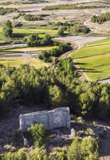 raicesenlapiedra(1).jpg