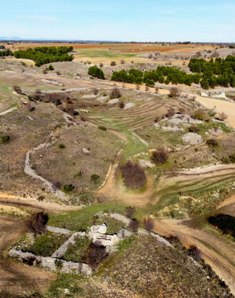 raicesenlapiedra(2).jpg