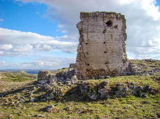 raicesenlapiedra(3).jpg