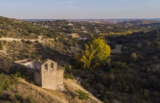 raicesenlapiedra(5).jpg