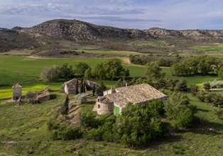 raicesenlapiedra(6).jpg