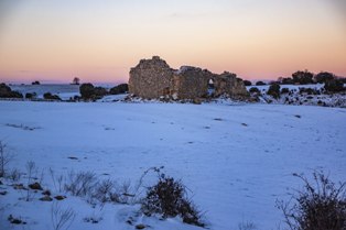 raicesenlapiedra(8).jpg