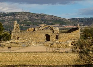 raicesenlapiedra(9).jpg