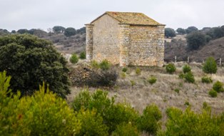 raicesenlapiedra(10).jpg
