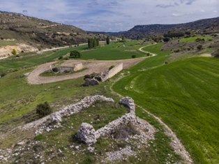 raicesenlapiedra(11).jpg