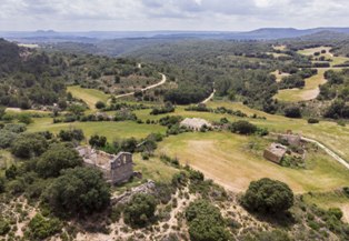 raicesenlapiedra(23).jpg