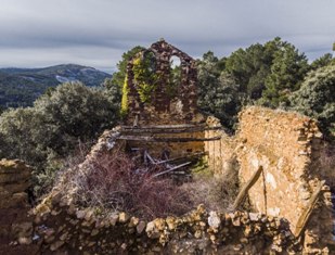 raicesenlapiedra(24).jpg
