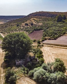 raicesenlapiedra(25).jpg