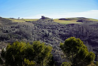 raicesenlapiedra(28).jpg