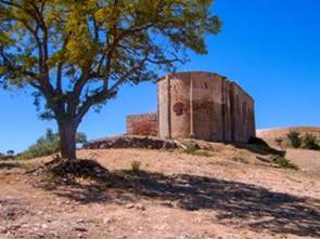 raicesenlapiedra(32).jpg