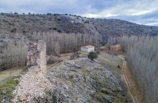 raicesenlapiedra(33).jpg