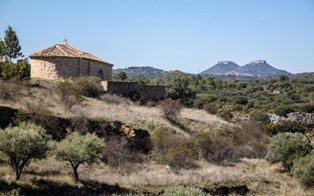 raicesenlapiedra(35).jpg