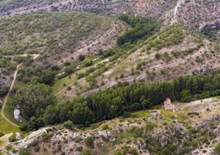 raicesenlapiedra(38).jpg