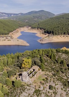 raicesenlapiedra(39).jpg