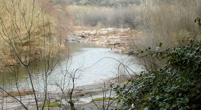 rio-llobregat-wikipedia.jpg
