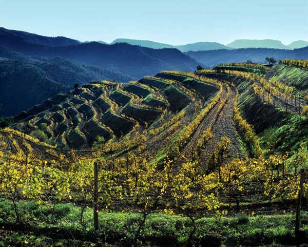 priorat-(2).jpg