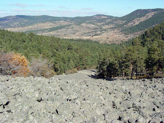 imagen-de-orea-6.jpg