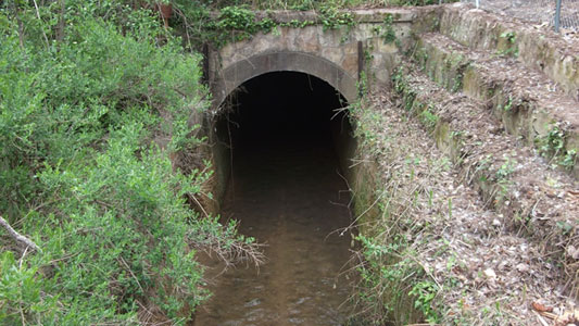 DSCF5018.JPG