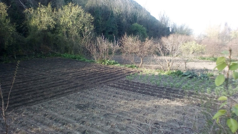 huerta-el-chorrillo-1.jpg