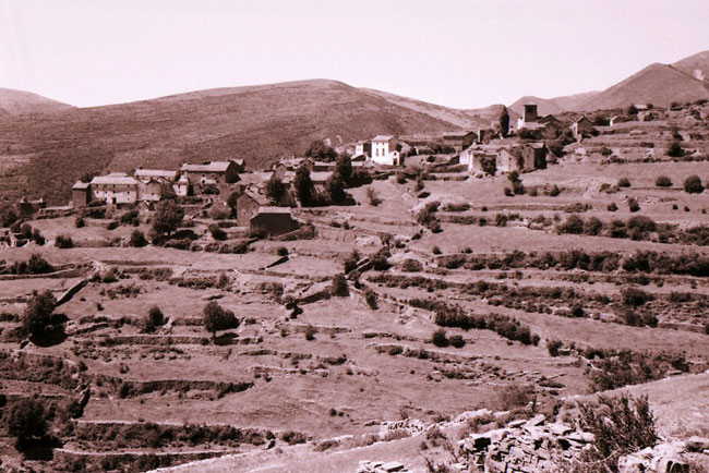 trekking_mule_fotos_enrique.jpg