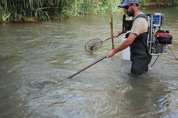 pesca_elctrica2.JPG