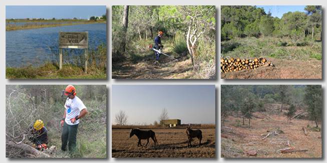 custodia-territori-6-fotos.jpg